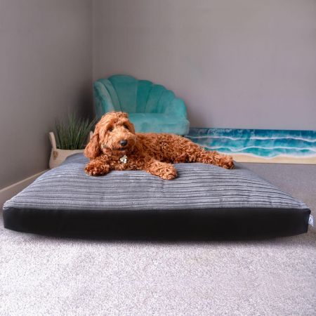 Jumbo Cord Grey Medium Dog Bed